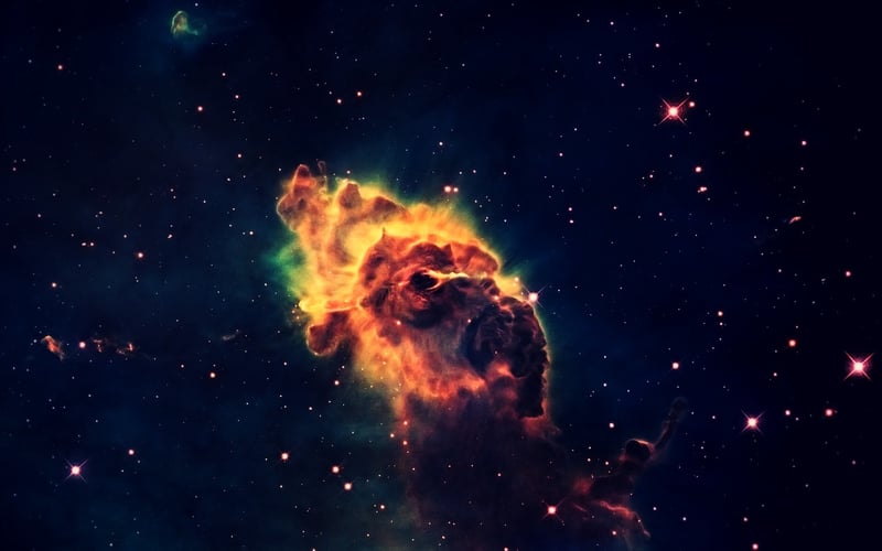 Rising Stars